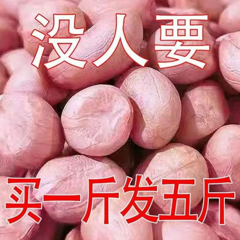 Арахис свежепочищенный новый арахис крупными зернами, порошковая кожура, свежее масло белый песок арахисовое масло, одна штука оптом