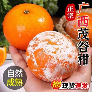 �V��ï�ȸ����r����ָ�9����ٽ���ʯ�Ҹ̮a��ֱ�l����һ�����l