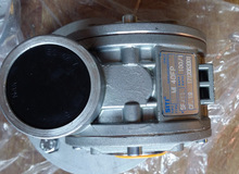 ԭ�b�����bonato veronesi�����l늙CBonato Veronesi����늙C