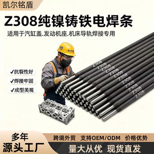 Z308����T�F���l���F���lZ208��~Z408Z508��F���F���F�f�ܺ��l
