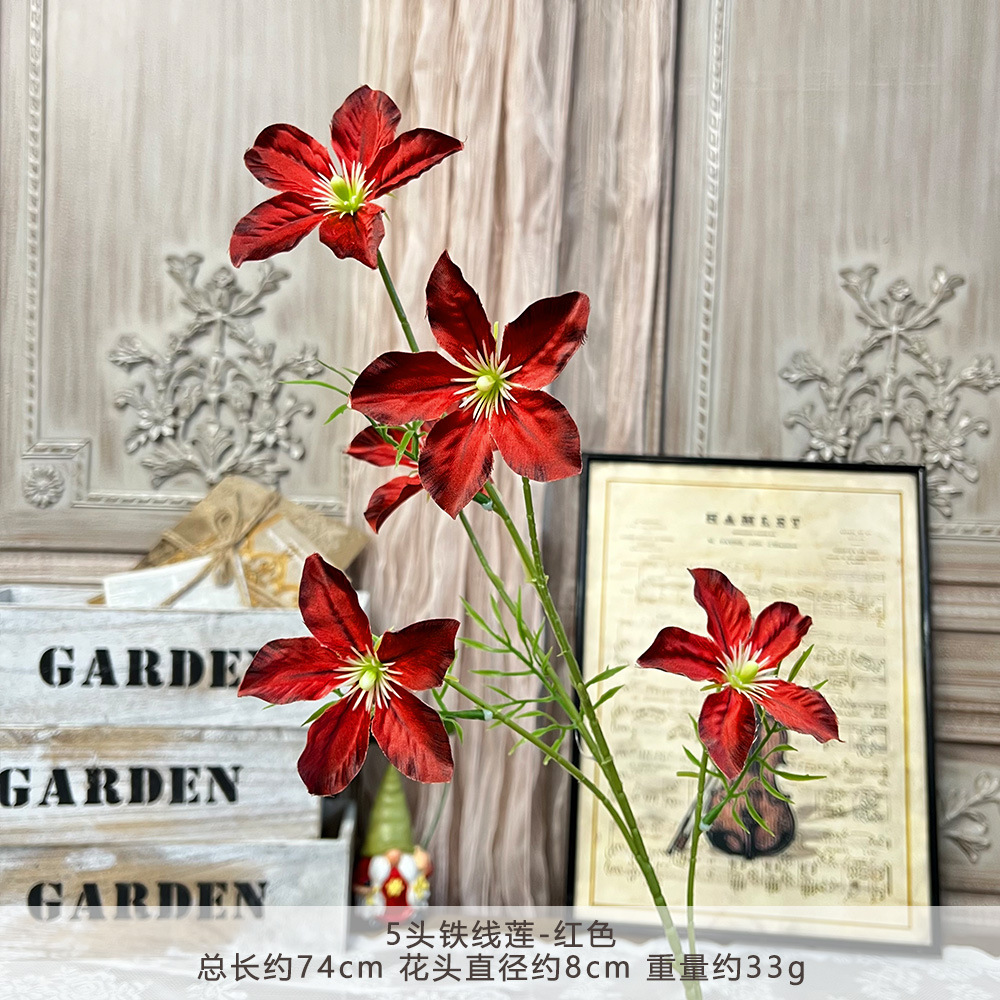 Ty-5 headed clematis - red
