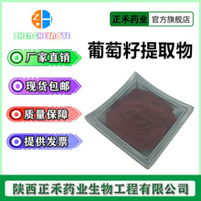 葡萄籽提取物96%  原花青素 OPC 84929-27-1 花青素 正禾现货供应