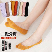 ��ֺ���mŮ�\���������R���i��Ь�m�Ӽ����ļ������ֺ��ָ��ֺ�m