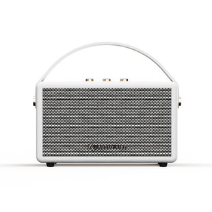 Private model Soundcore mini retro Bluetooth audio 40W high -quality leather high -end gift source manufacturer