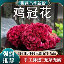 ���ݻ��\�����l�u�ڻ��t�u�ڻ���؛���؛�ρ��t���u������ă�