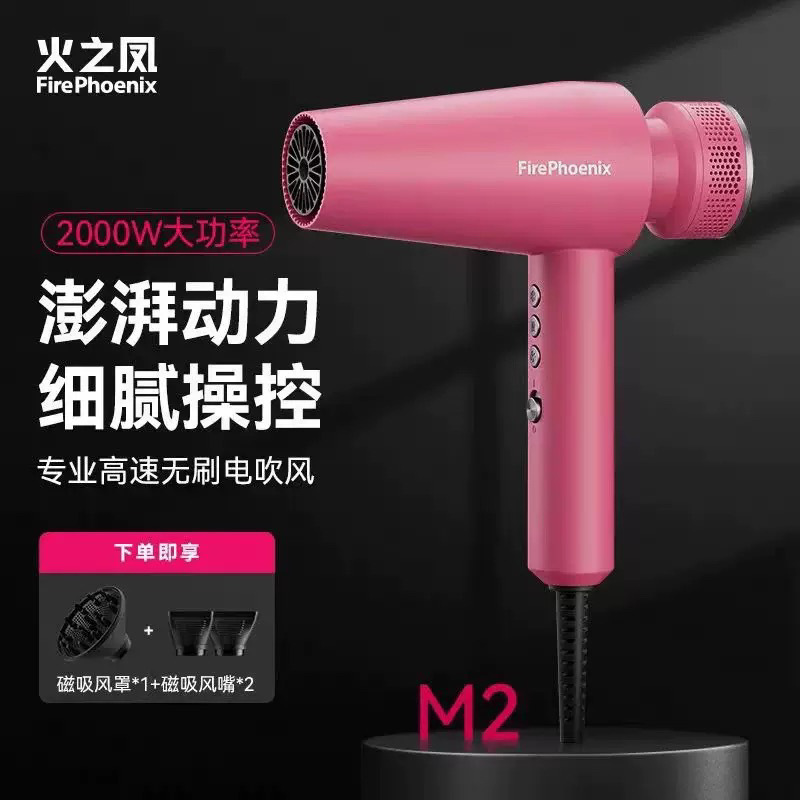 Fire Phoenix ヘアドライヤー M2 理髪店 ヘアサロン ヘアスタイリスト専用 家庭用 ハイパワー マイナスイオン ヘアドライヤー 高速|undefined