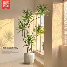 ��Ѫ�����ԾGֲ�҃ȴ��Ϳ͏d���辰���^���F����횘��k����ֲ�y�R