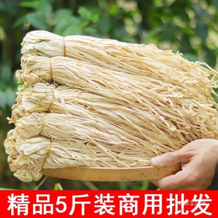 5���}���ɺ����خa�L�}���r�������}���l�Օ��L�ɸ��}��ɢ�b��؛