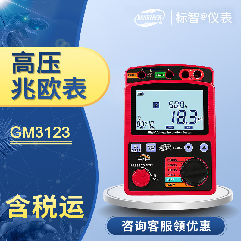 3125绝缘兆欧表GM3123输送高压电力机电电阻安装///测量电缆/检测