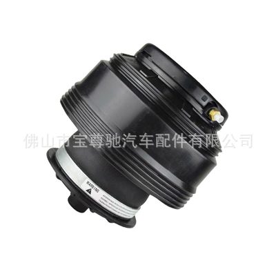 Parts Rear Gas Bag – damping system