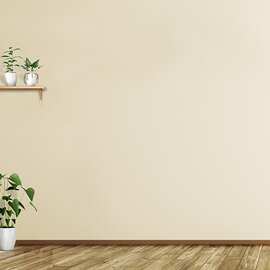 新主直播带货背景布3D立体直播带货网红服装大气内简约轻奢拍照in