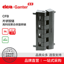 Elesa Ganter����ɯ���� CFB. Ƭ���q� �߿Ƽ��ۺ��w