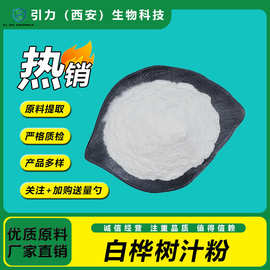 白桦树汁粉98% 水溶性桦树汁粉  浓缩粉现货供应 散装原料粉