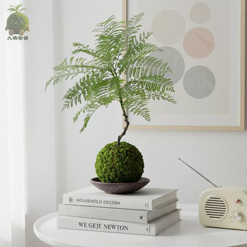 Бонсай из мха джакаранда в форме шара, комнатное растение для гостиной, балкона, горшечное растение для рабочего стола или офиса.