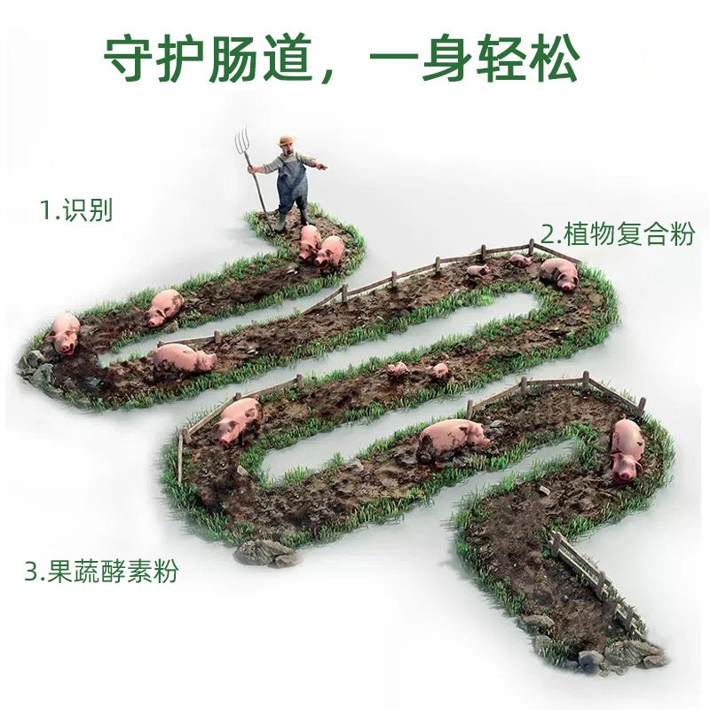 台湾综合果蔬酵素粉清畅套组益生菌肠美容院孝素一排固体饮料宿便|undefined