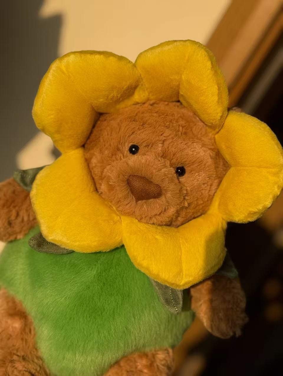 コレクション1;