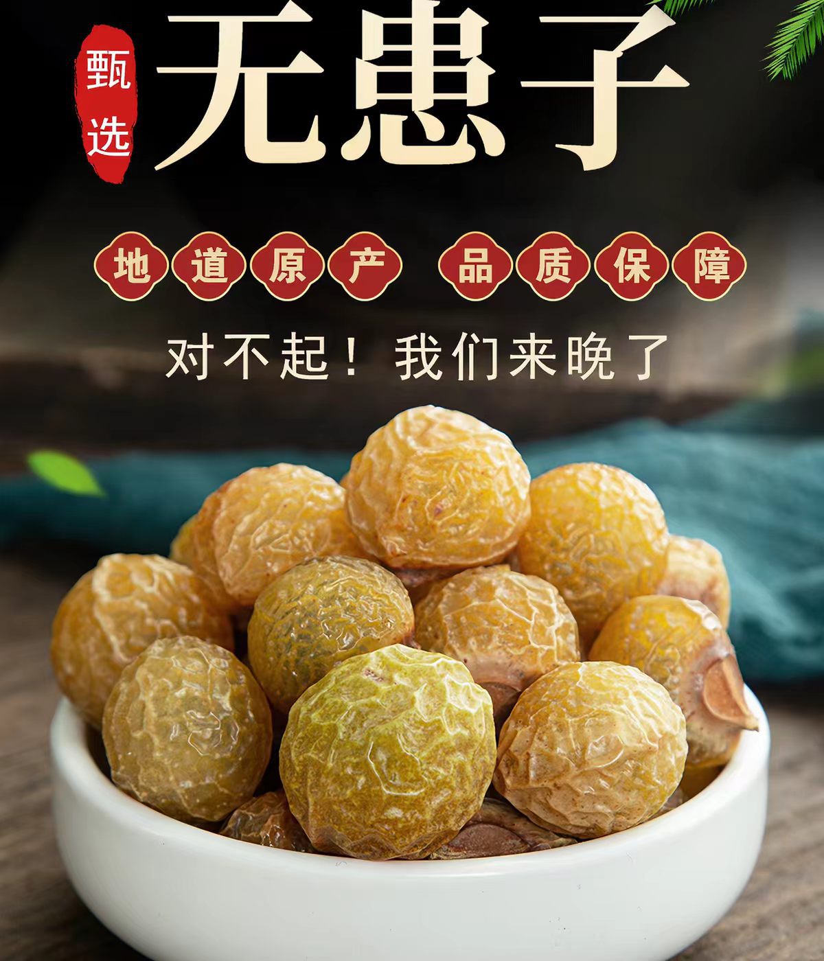 Wu Huan Zi Fruit Peel (Sapindus mukorossi) — Dried Soapberry Hulls for Natural Hand Wash & Daily Cleansing overview