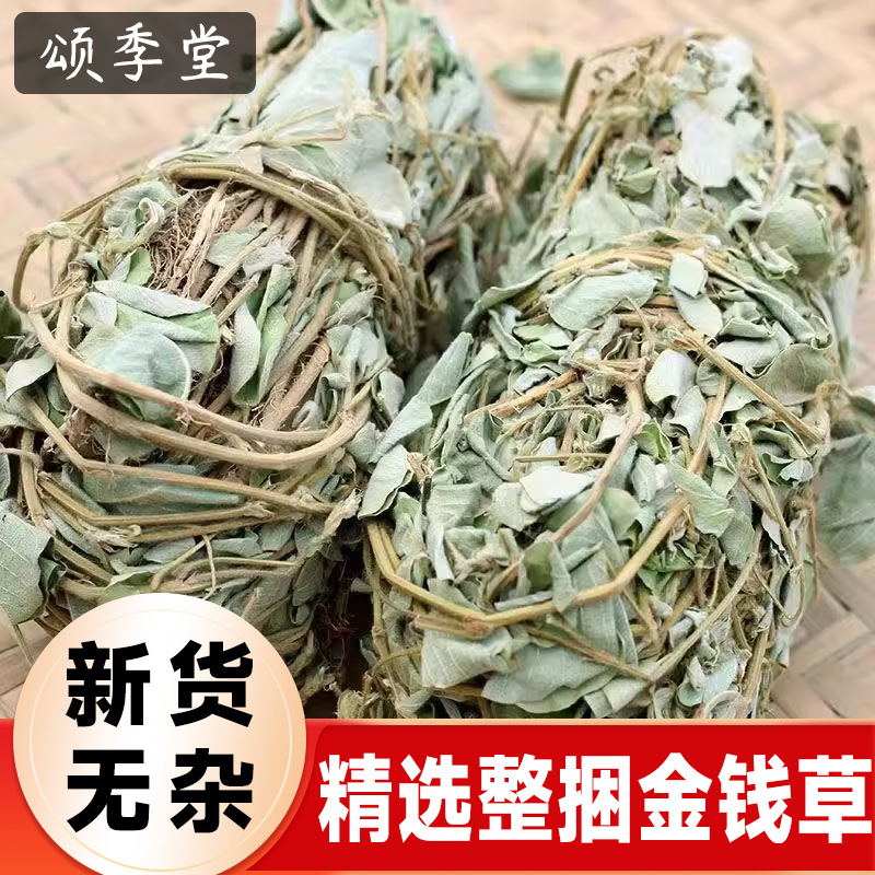 中药材精选新货整捆广金钱草叶铜钱草扎把金钱草切段泡茶水中草药