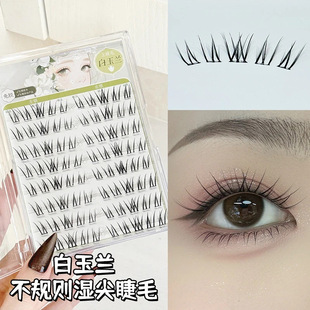 ���ᵭ�ϵ�����m�ٽ�ë���z��ж��ճ�۽�ë����2026���¿��