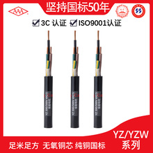广东电缆AAA牌橡套电缆防油水橡胶护套家用多芯纯铜软电力电缆