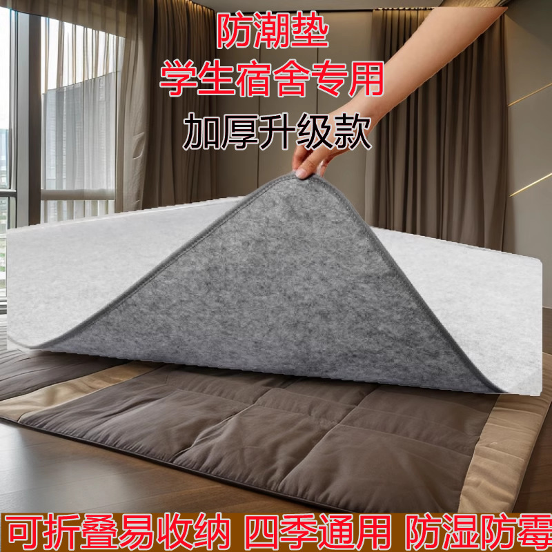 防潮垫学生宿舍床上用吸湿床垫午休地垫打地铺隔凉单人床防霉垫子