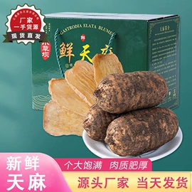 花果茶;代用/养生茶;其他滋补