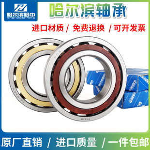 �����I�ǽ��|���S��7307 7308 7309 7310 7311 7312 7313 7314 AC