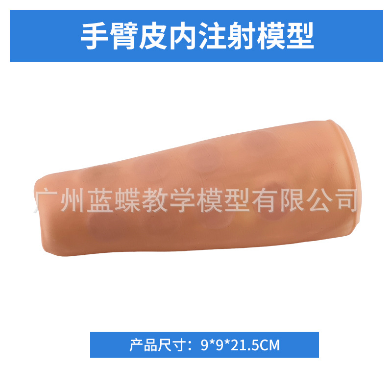 ������������Һ����ע��ѵ���ֱ�ģ�ͻ�ʿ��ϰ����������Ѫģ��