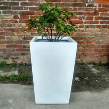 ˮ���w�S�L�l���ξG���Nֲ���ۑ��������ֵ�·�̘I�����������