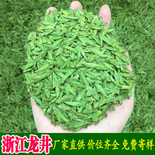 �㽭���������ݴ����ꖝ���2026���²贺��ɢ�b���~���l�G������