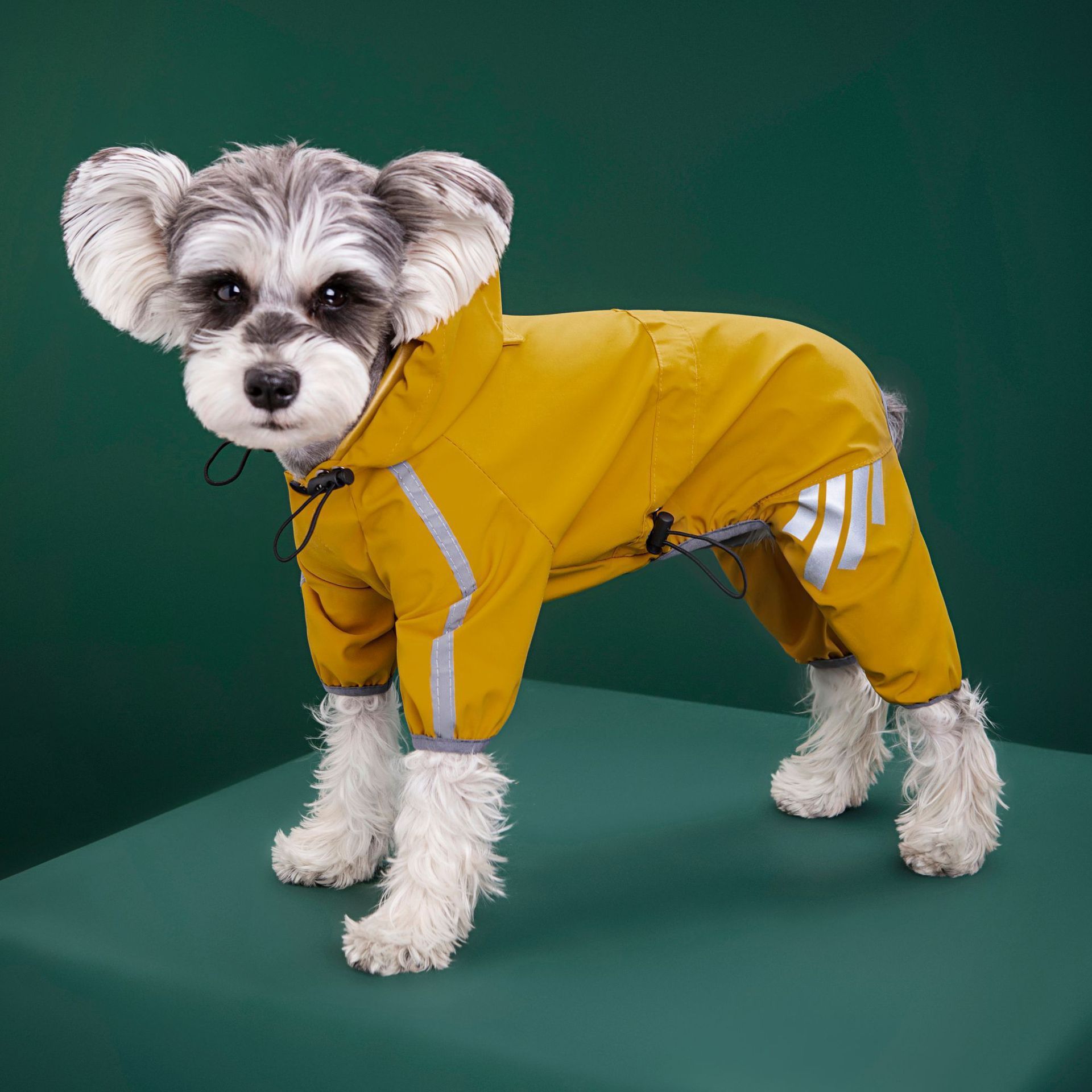 Pet raincoat all-inclusive four-legged waterproof poncho Teddy Bomei rainy day pet clothes small and medium-sized dog raincoat manufacturers