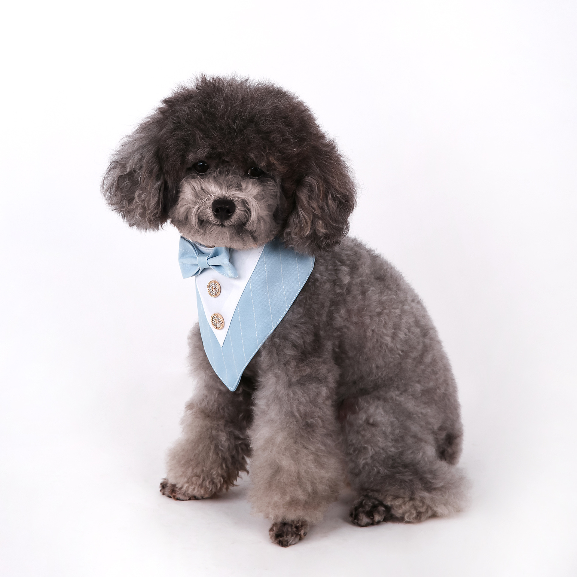 Navidad Año Nuevo Spot transfronterizo boda británica trajes toallas para mascotas bufandas perros velcro toallas para mascotas triángulos