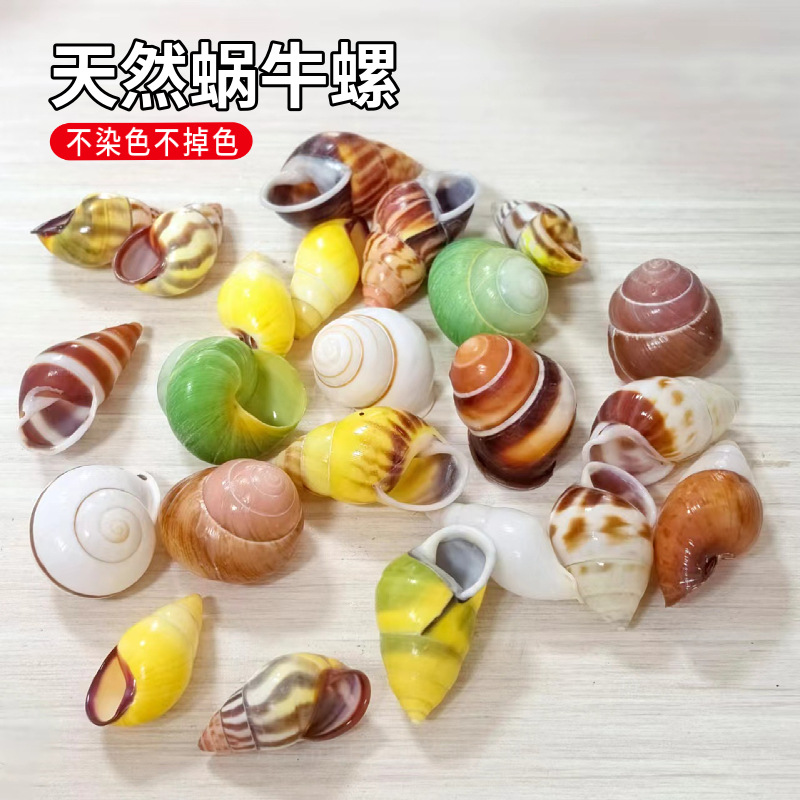 Organic yellow snails