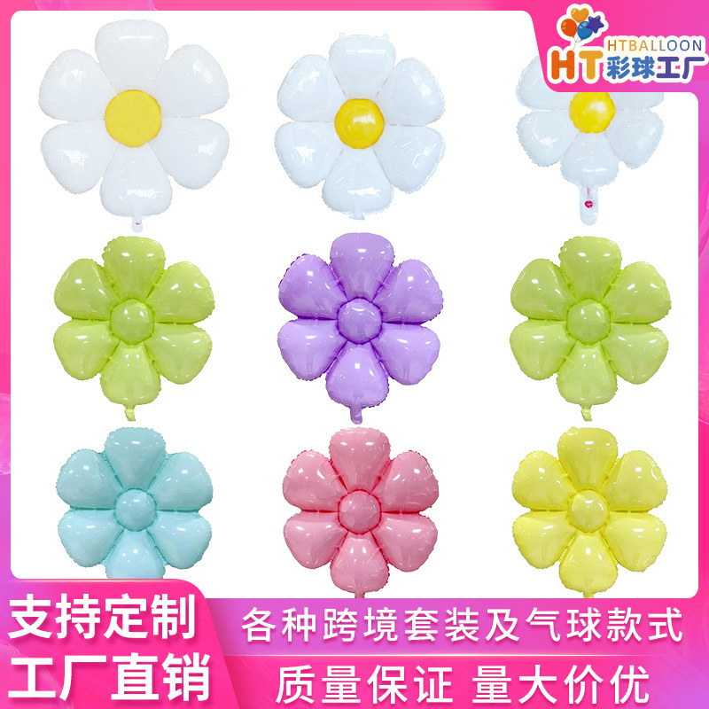 アマゾンの卵の花の小さい菊のアルミニウムの膜の風船は道具を撮影します。|undefined