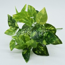 �S��ֱ�N ����G�}�~  7���u���~ �ٻ��Gֲ���� ����ֲ����