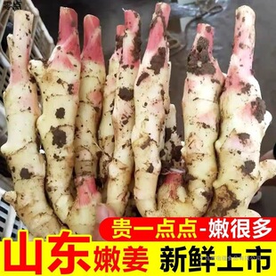 �F���������������r�۽��r���ԷN�ؼ��н��tѿ�����ƏS�Ҵ��l�羳