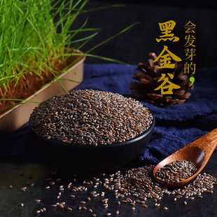 �ڽ����500g����s�Z�I�B������С������؎X����s�Z��Ѫ����