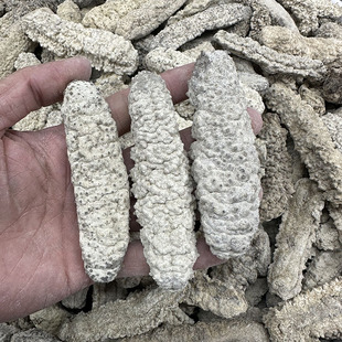 �S�񅢺���ˮ�a��؛8-120�^���񅢺������l ���ɴ�������500��