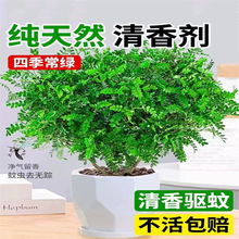 �������ľ���Ի����҃�����ò�ֲ������Ϙ��辰������Gֲ����