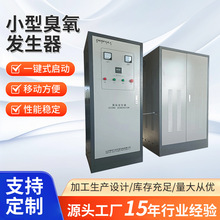 100-1000g/h臭氧发生器 设计人性化设有急停按钮 小型臭氧发生器