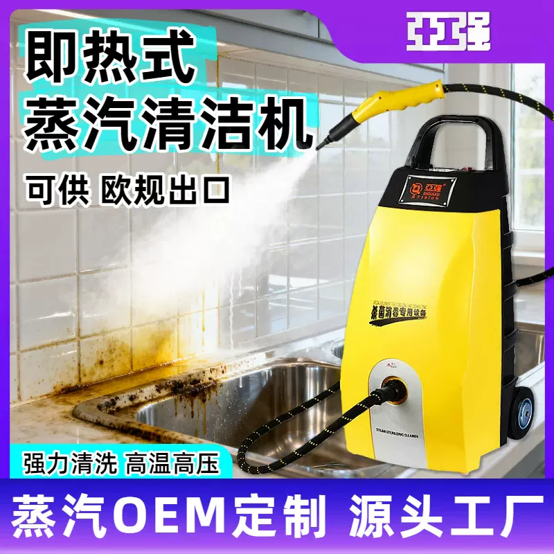 蒸汽清洗机多功能厨房油污高温清洗地毯沙发床垫除菌 蒸汽清洁机
