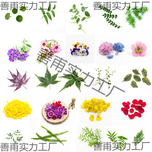 ���r�[�P�b��� �͏d���ϴ�����P���r�����˾�����c�Yֲ��
