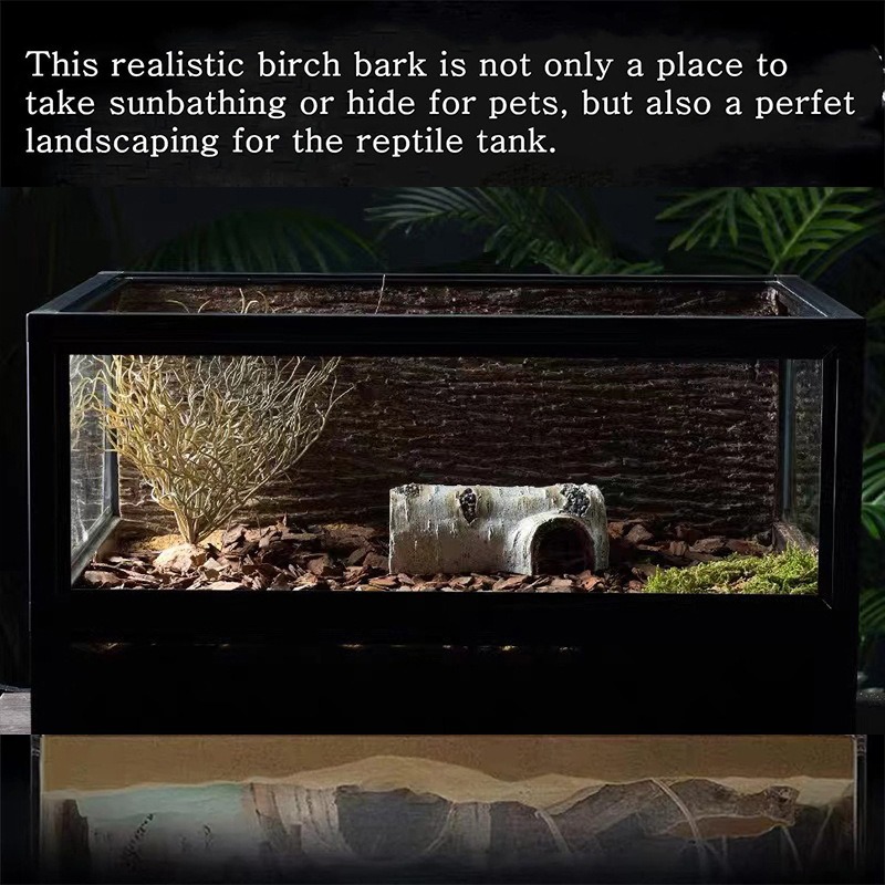 Las mascotas trepadoras evitan la cueva, la tortuga, la terraza, la lagartija, el palacio, la casa, el escorpión, la araña, el reptil, el paisaje, la corteza, la plataforma trepadora