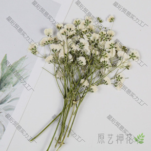 ���Q�ŷ�Ո��ӡ��ֲ���ֹ��˱�������@������ɫ��С���~�ɻ��b�