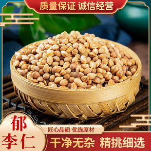 郁李仁 新货500g克包邮 内蒙李仁茶 中药材俞李仁 另有桃仁杏仁-阿里巴巴