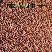 ڸ߳ɻħNѸ߮aһNļNֲÓˮħN