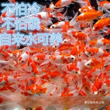 С���~���l���~�^�p�~С���l�\���\�a��ɫ�t�����^���T�ʹ��l