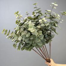 �ȼ������X�~��c�廨����Gֲ�Ҿ��b羳���滨�ȼ����~����~