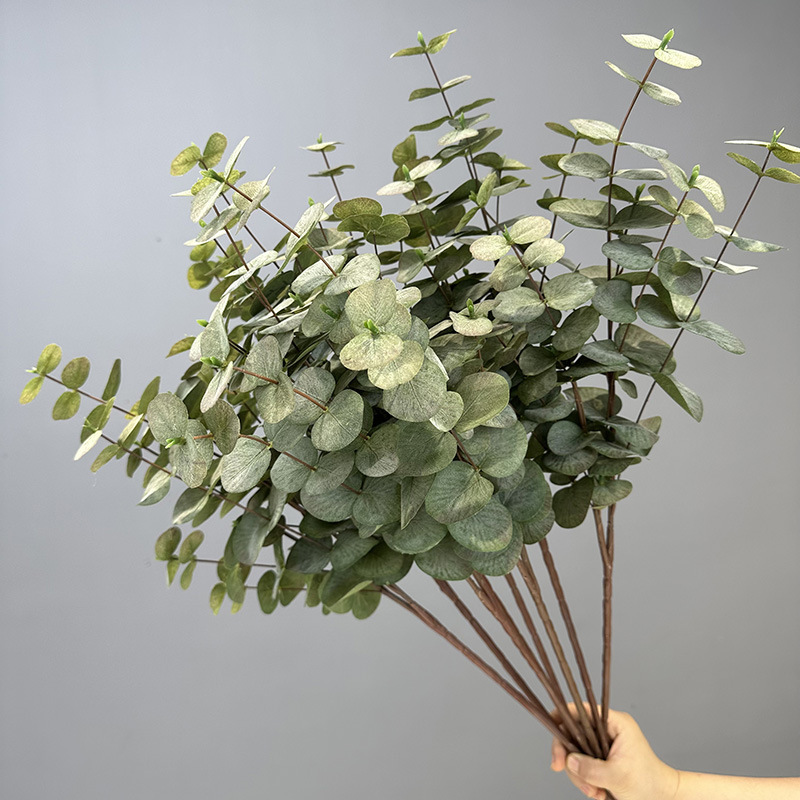 Eucalyptus Money Leaf Wedding Flower Arrangement Accessories Green Plant Home Decoration Cross-Border Artificial Flower Eucalyptus Leaf Eucalyptus Leaf