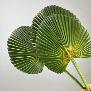 ����ֲ�����l�����֦�A�������~�ؙ��~����Gֲ�����쾰��ˇ�OӋ